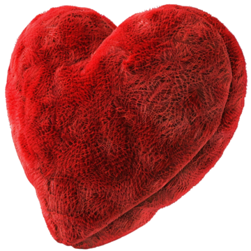 Heart Cushion 1