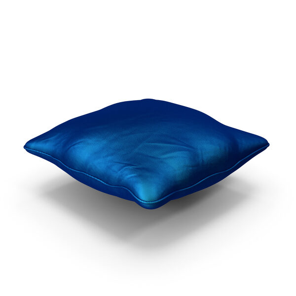 Silk Cushion